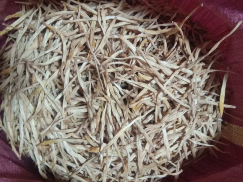 【王淇黄花菜】常年供应各种品质黄花菜，产地一手货源，