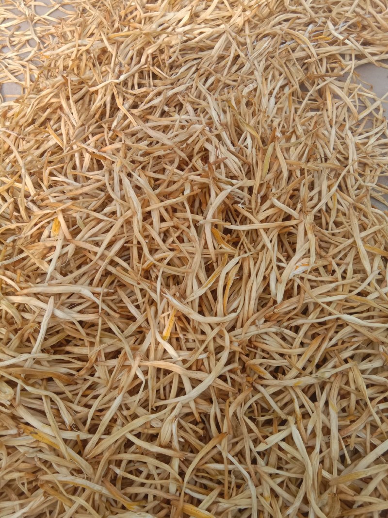【王淇黄花菜】常年供应各种品质黄花菜，产地一手货源，
