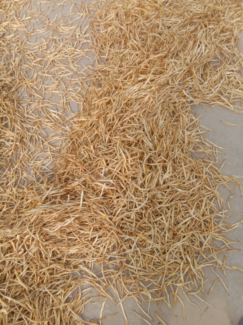 【王淇黄花菜】常年供应各种品质黄花菜，产地一手货源，