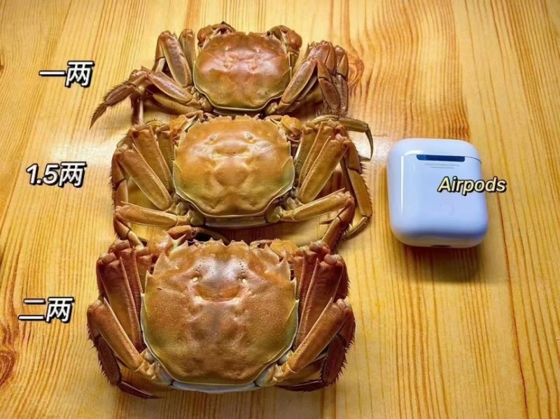 盘锦河蟹辽蟹毛蟹各种规格河蟹老头蟹质量保证