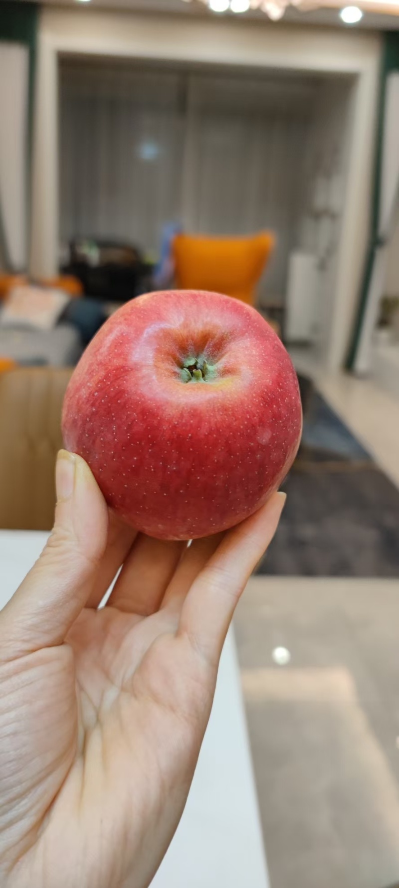 云南昭通丑苹果红露苹果