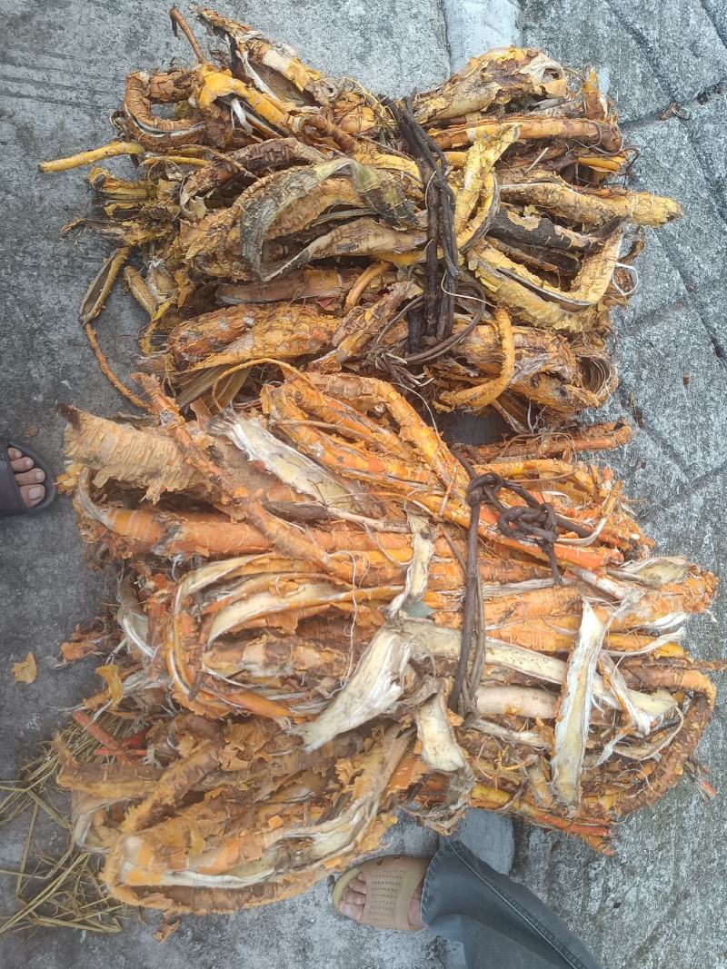 桑白皮野生山货质量杠杠的无污染