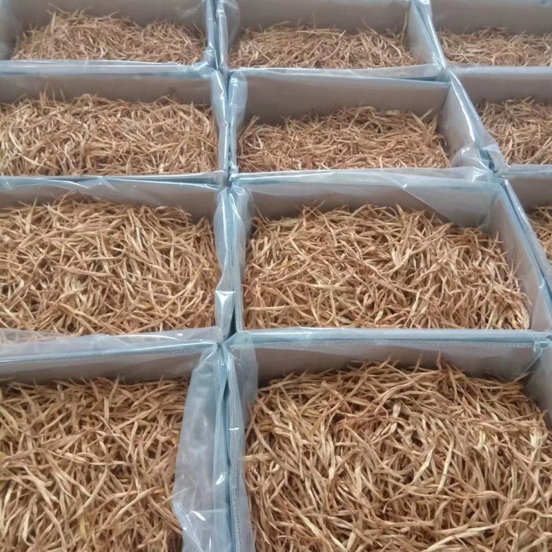 王淇黄花菜产地常年供应原品黄花菜产地一手货源欢迎来电咨询