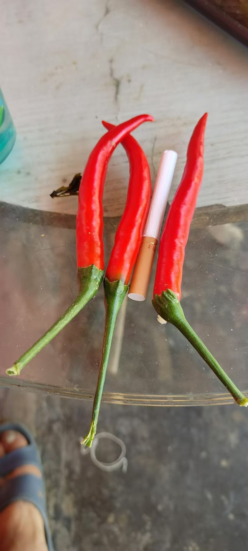小米椒，精品，通货，