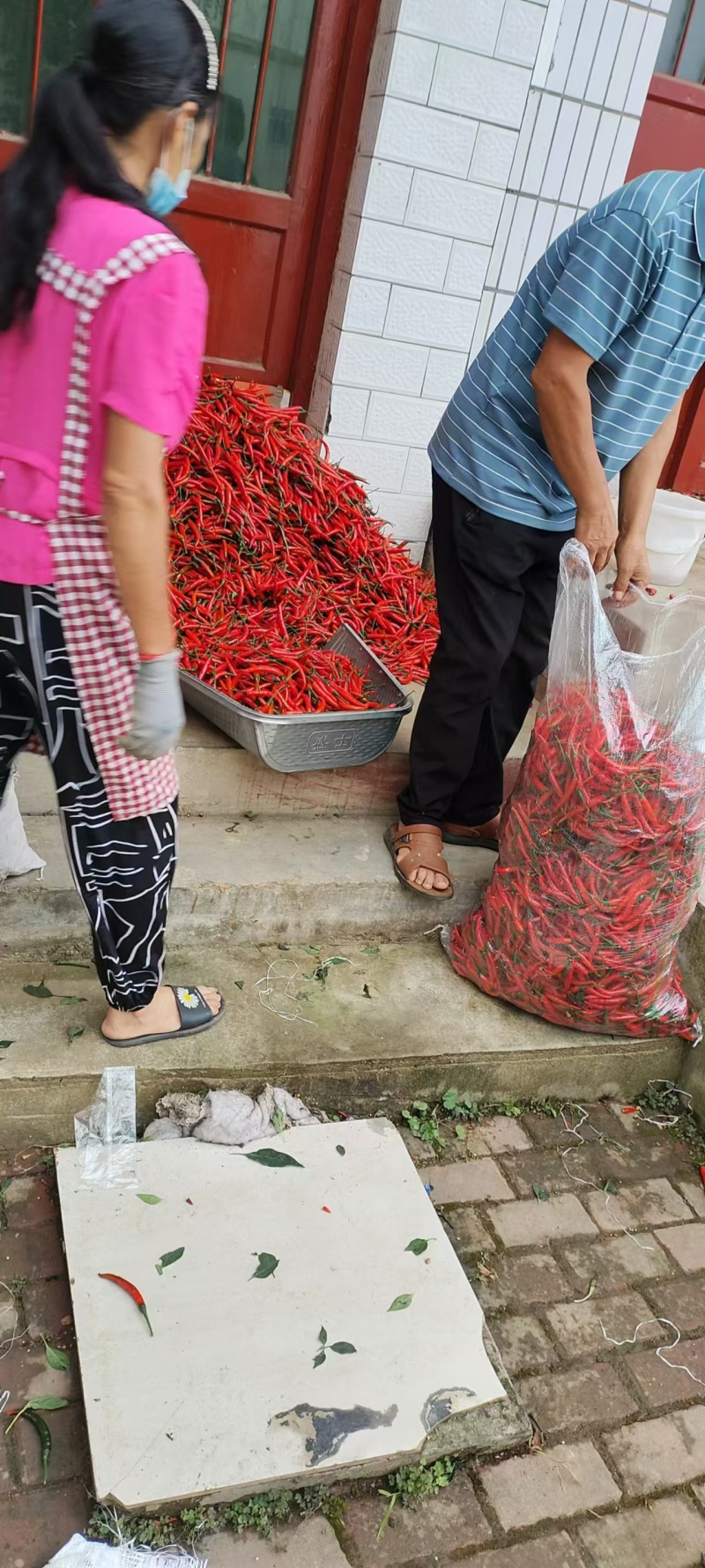小米椒，精品，通货，