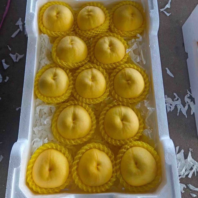 黄桃