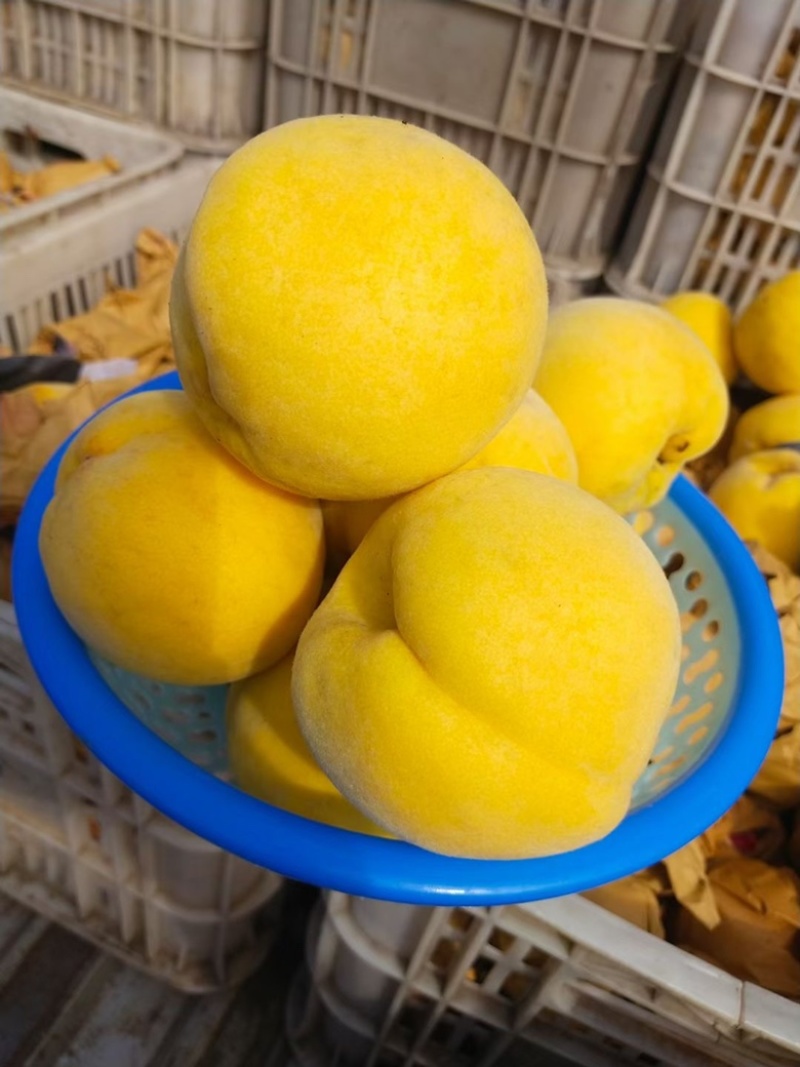黄桃