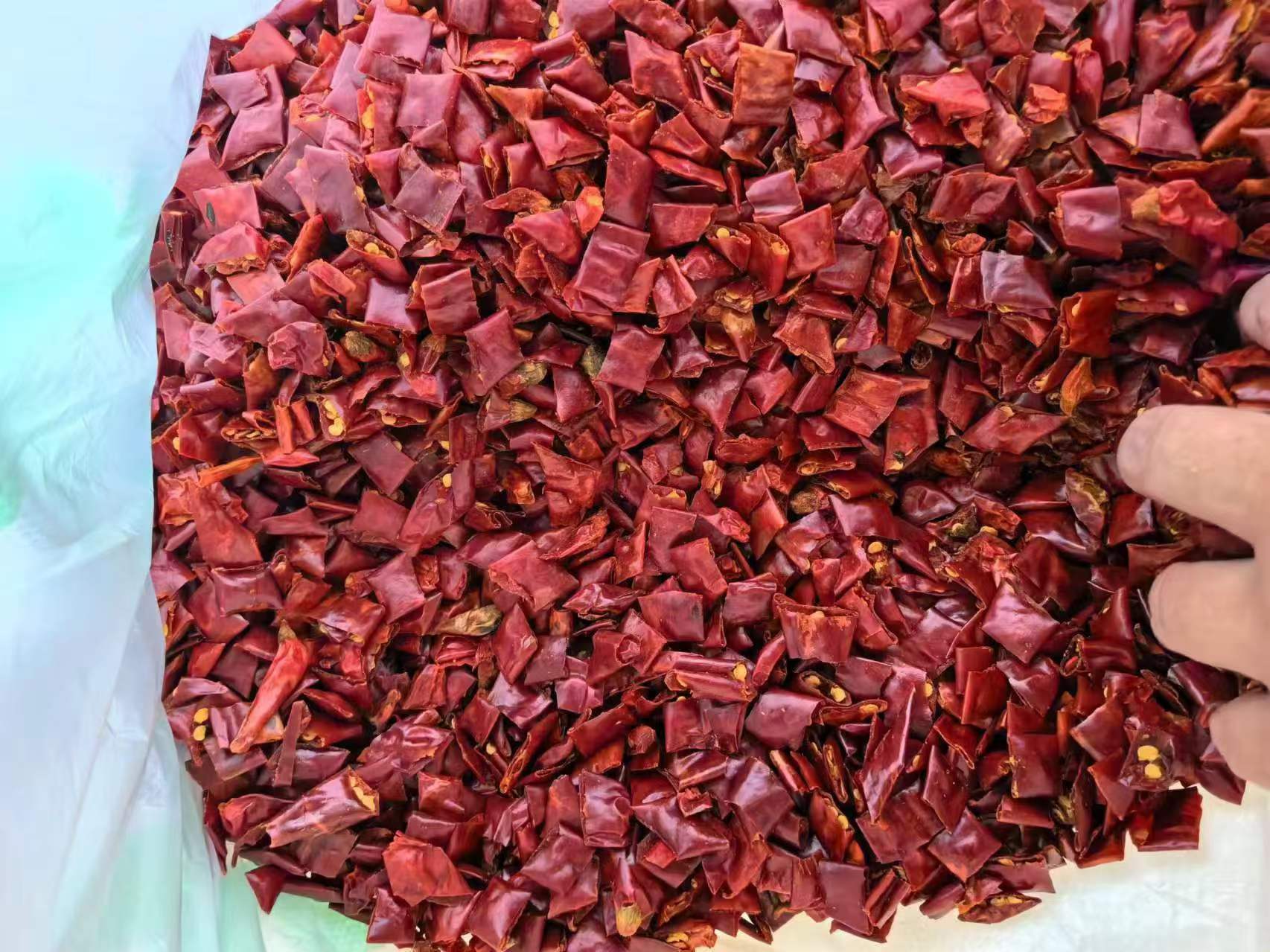 鲜辣椒冷冻封装过程