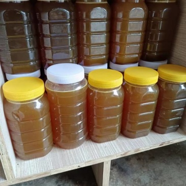 红河蜂蜜，纯正甜蜜上市