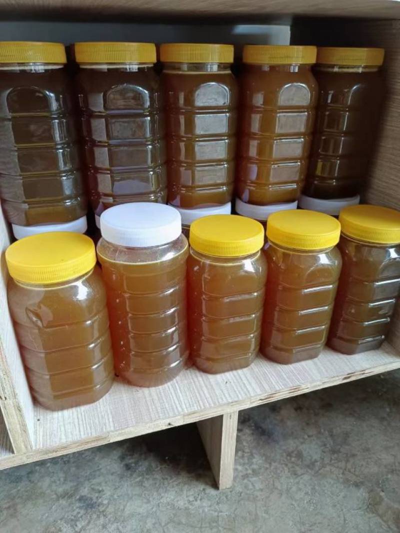 红河蜂蜜，纯正甜蜜上市