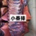 烟熏腊小香排适合任何地方卖人人都喜欢吃1件60斤常年批发