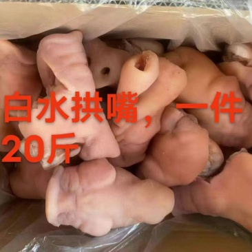 去骨白水熟猪拱嘴干净均匀适合所有地方卖一件20斤常年批发