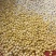 人参果有量就有价