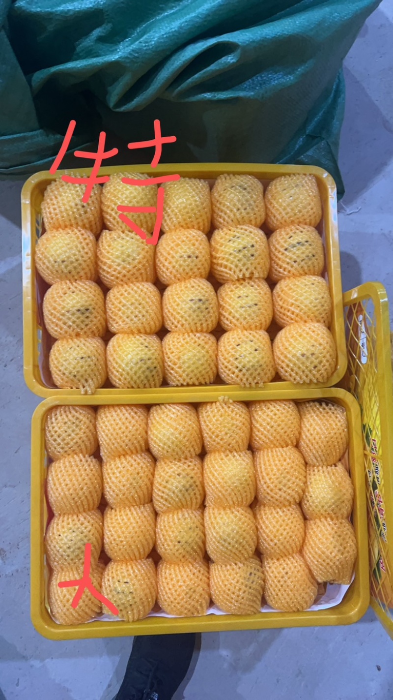 人参果有量就有价