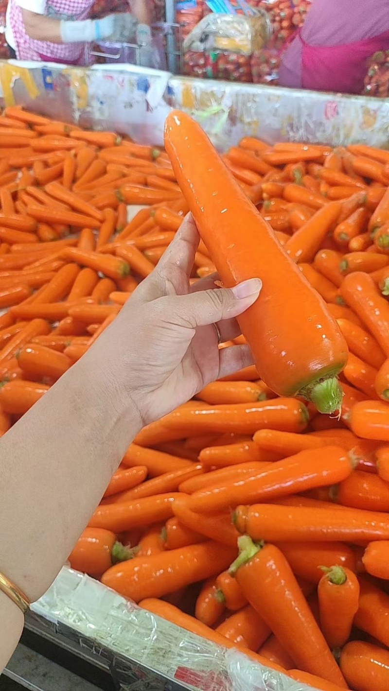 精品胡萝卜