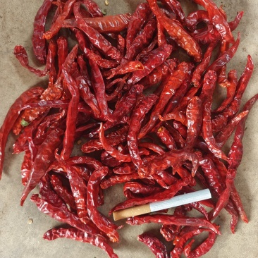 烘干艳红大量上市保质保量足斤足两欢迎致电可视频看货