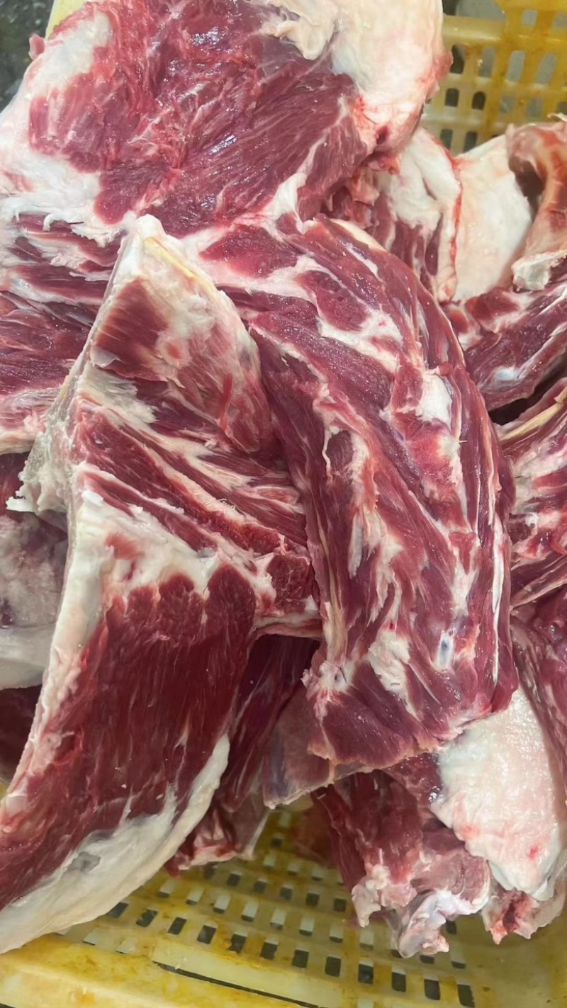 大羊加肉房间骨（带排羊蝎子）欢迎老板进店咨询。