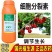 国光农药植生源2%苄氨基嘌呤植物生长调节剂细胞分裂素催花