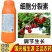 国光农药植生源2%苄氨基嘌呤植物生长调节剂细胞分裂素催花