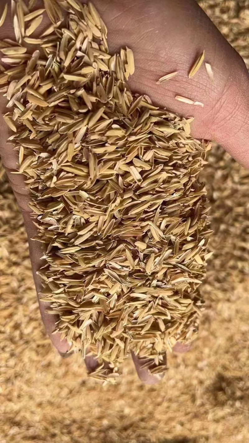 四川压缩稻壳，量大价优，欢迎咨询