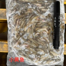 小黄鱼小杂鱼冻板