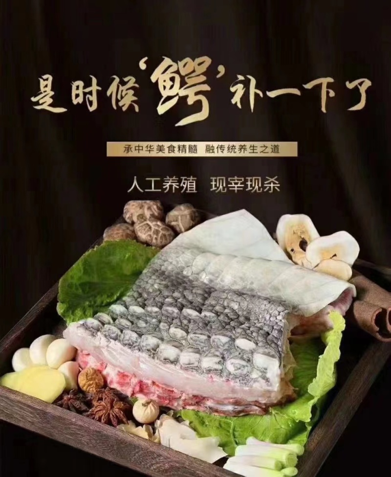 鳄鱼肉，尾，爪，鳄鱼礼包，鳄鱼皮具，鳄鱼油完整售后服务