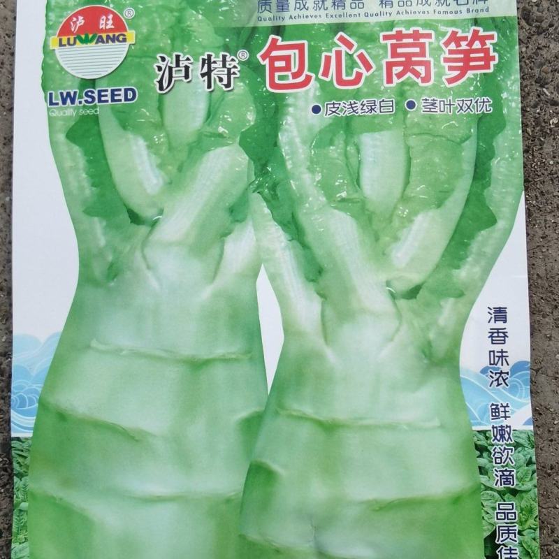 莴笋种子包心莴笋包心莴笋叶杆双优清香味美鲜嫩品质好