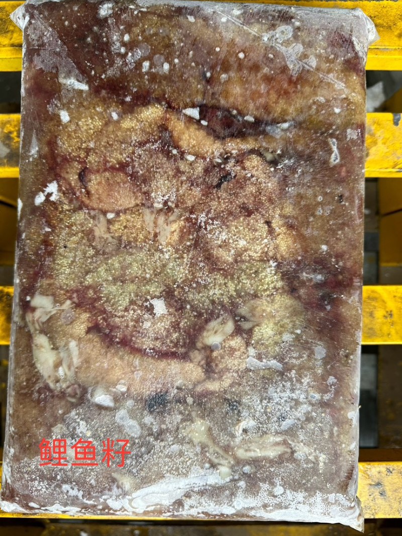 鲤鱼籽