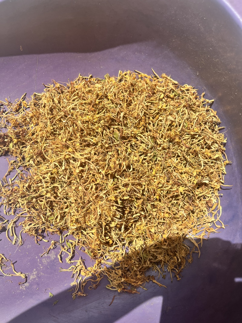 贵州精品野生金银花多种规格货源充足品质保证欢迎老板选购