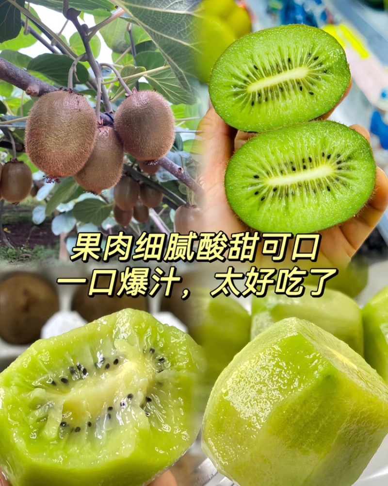 周至猕猴桃陕西绿心猕猴桃现摘现发品质保证欢迎下单