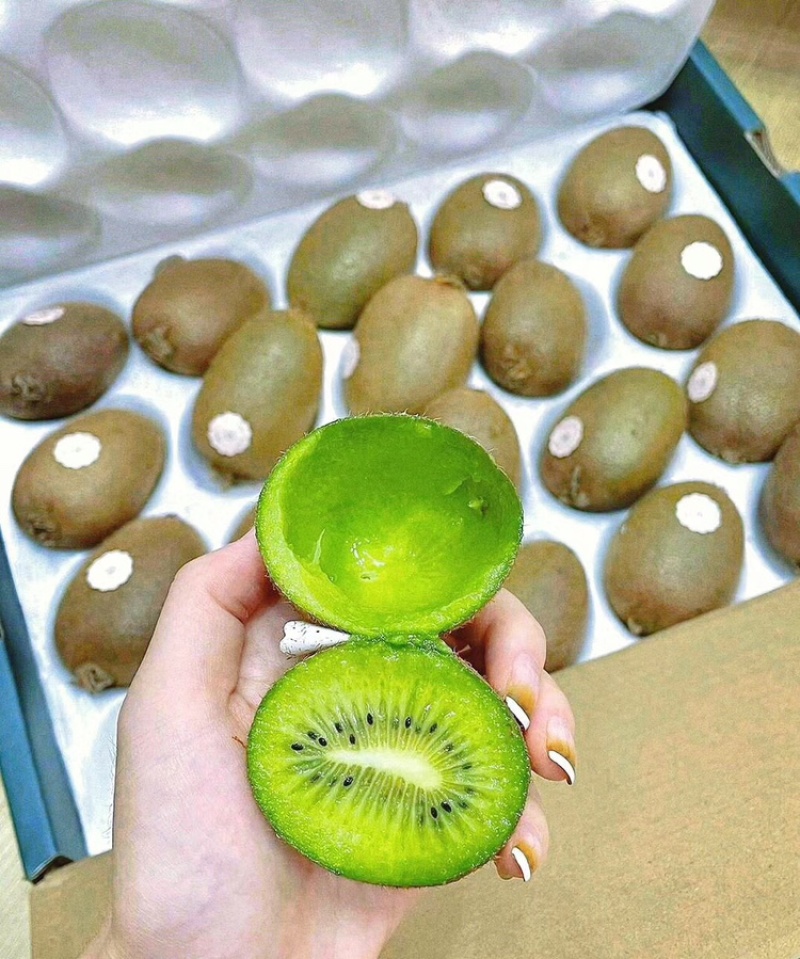 周至猕猴桃陕西绿心猕猴桃现摘现发品质保证欢迎下单