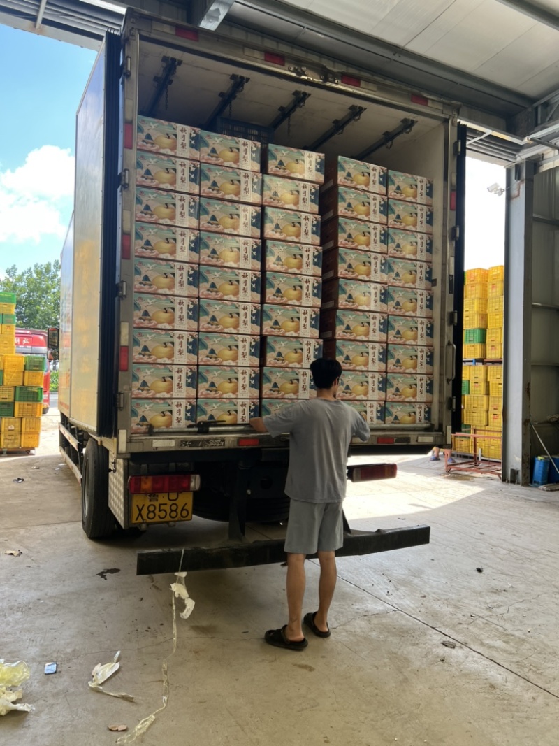 产地秋月梨大量上市品质保证诚信经营，欢迎进店咨询