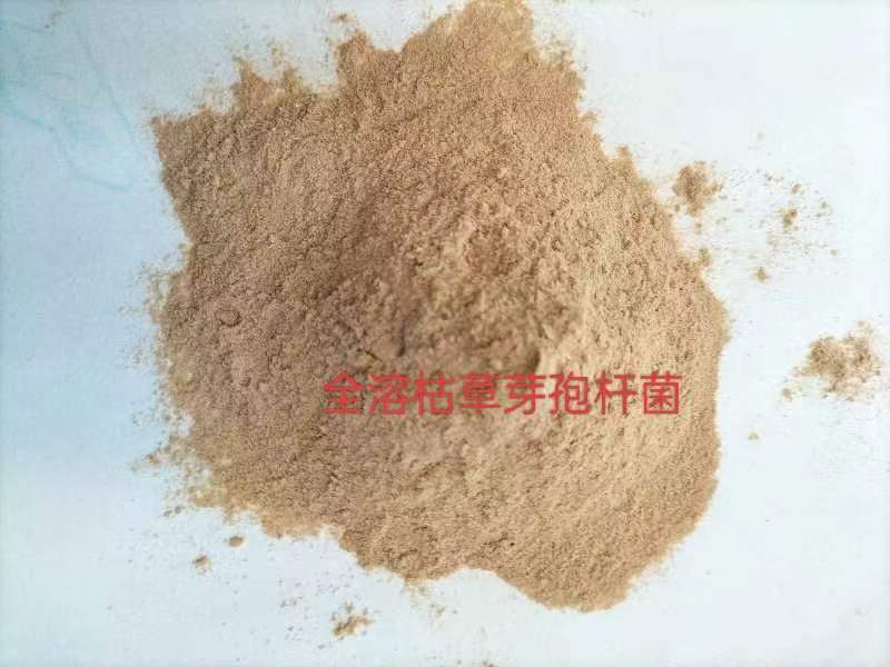 枯草芽孢杆菌500亿/克全水溶枯萎烂根根腐土传病害抗重茬