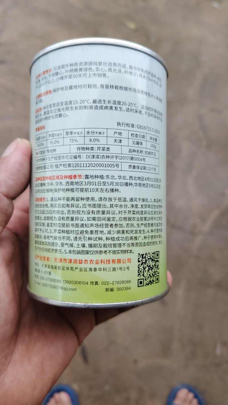 山东芹菜种子抗病芹王我级版基地大户均可栽培高产颜色好看