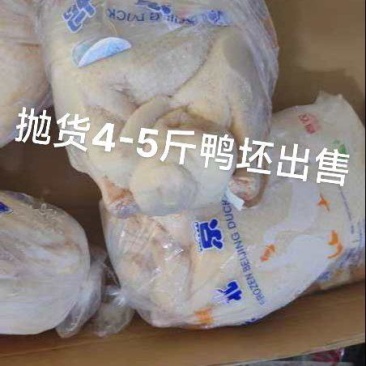白条鸭鸭头长期有货质量稳定