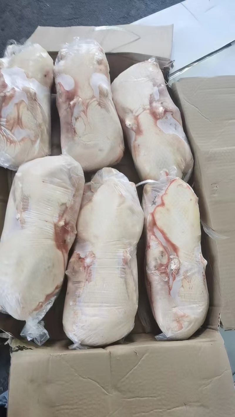 白条鸭鸭头长期有货质量稳定