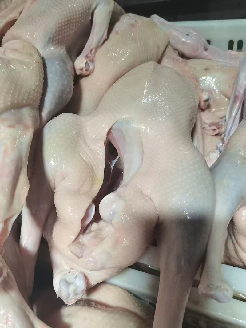 白条鸭鸭头长期有货质量稳定