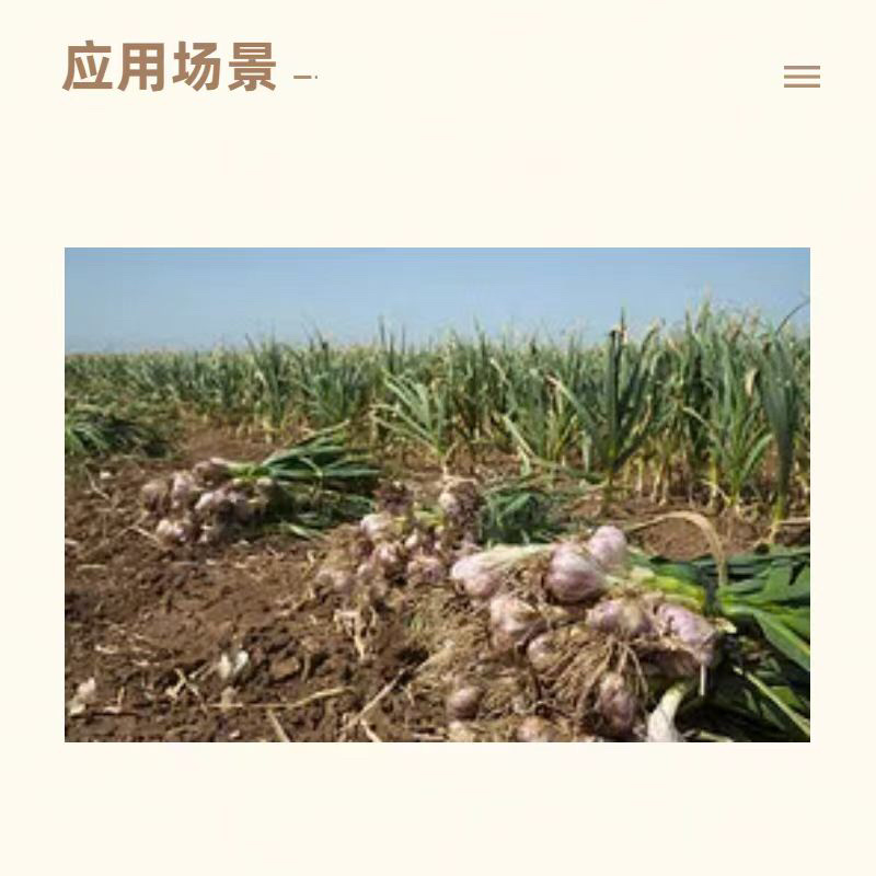 44%戊氧乙草胺大蒜田苗前一年生杂草封闭农药除草剂