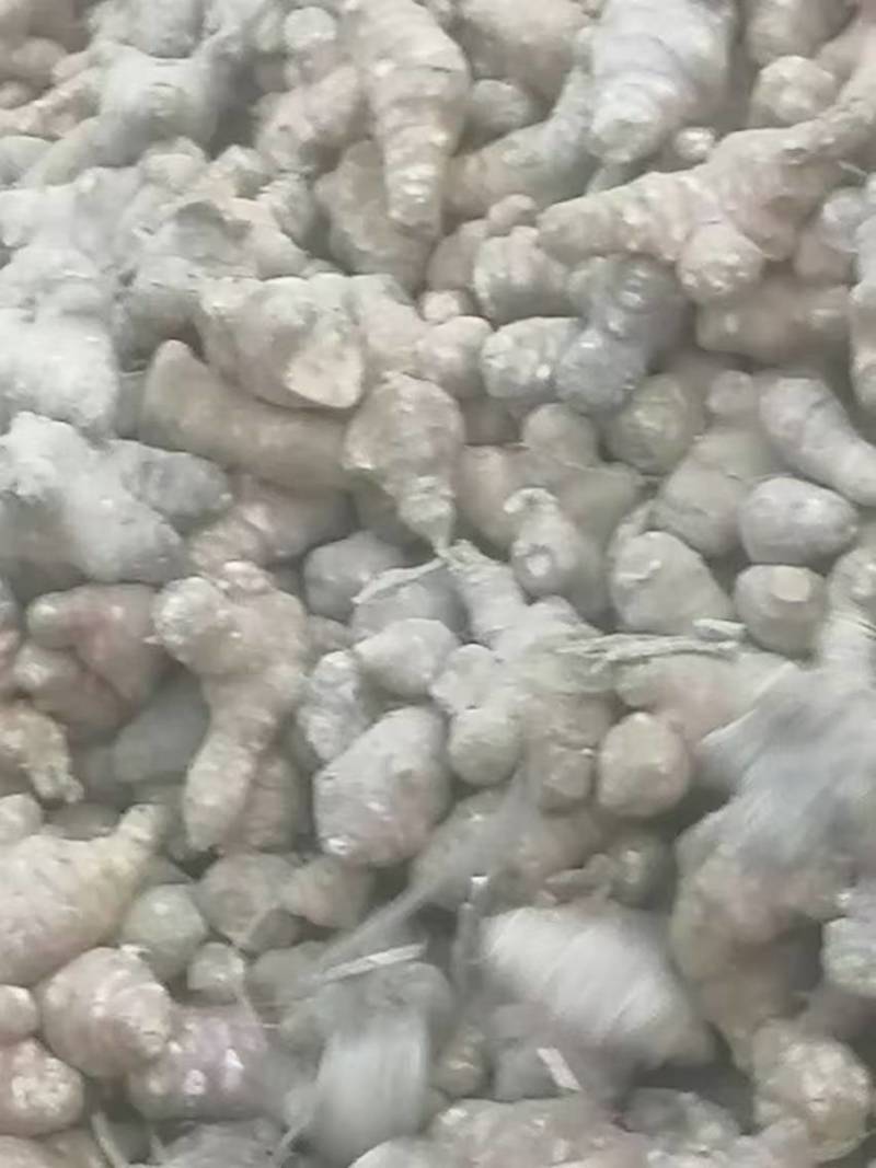 洋姜干货河南产区直发保质保量供货对接全国