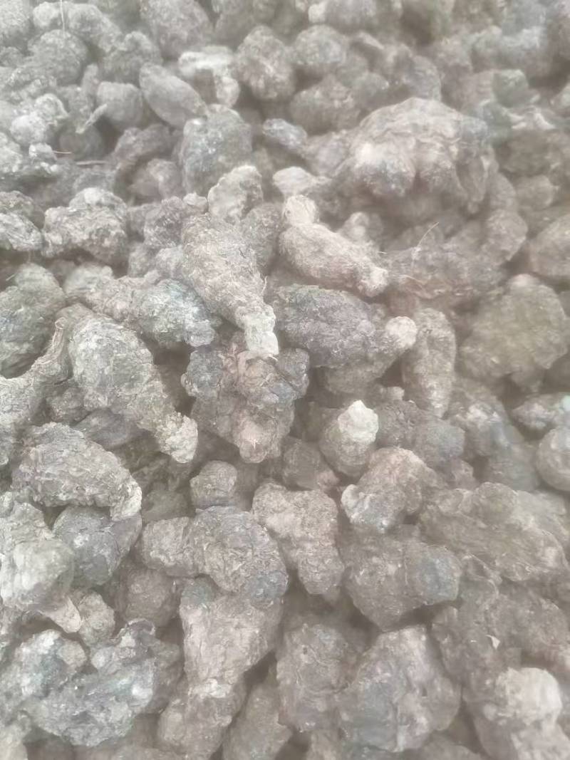 洋姜干货河南产区直发保质保量供货对接全国