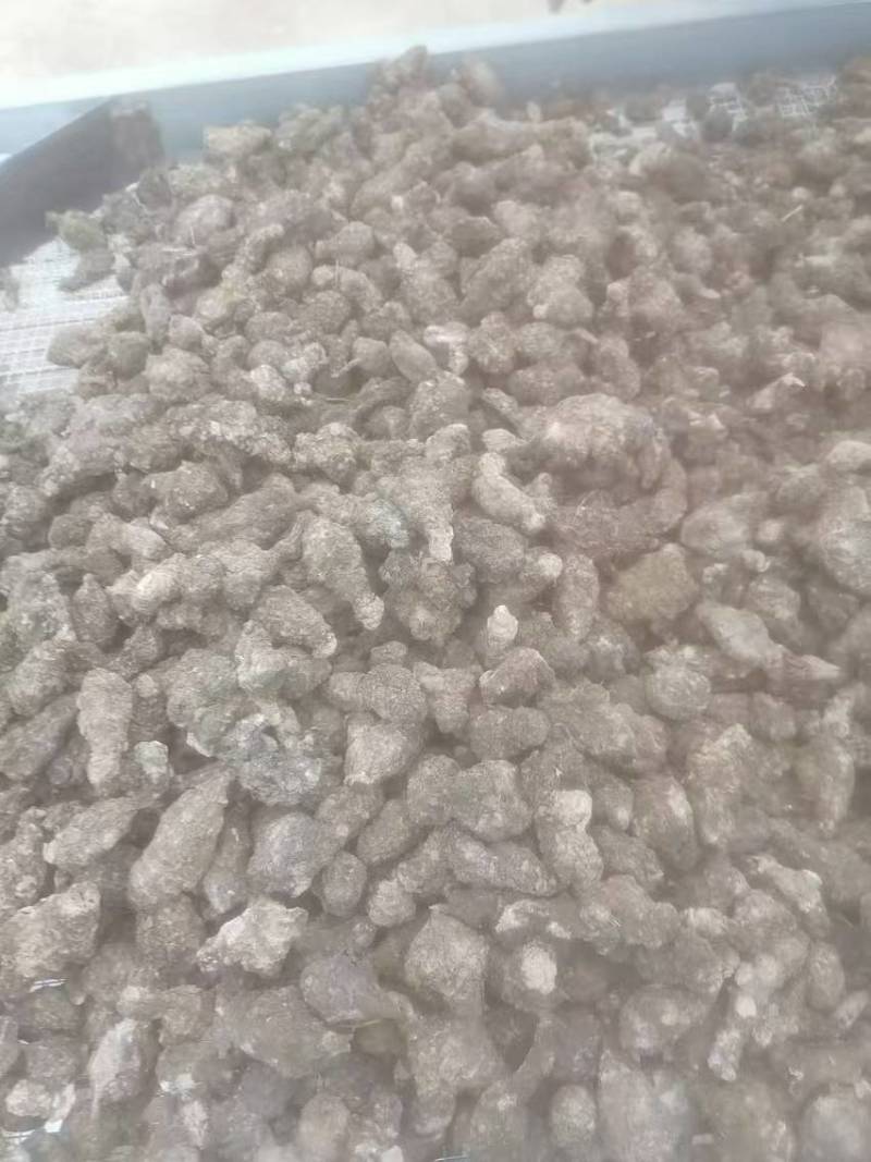 洋姜干货河南产区直发保质保量供货对接全国