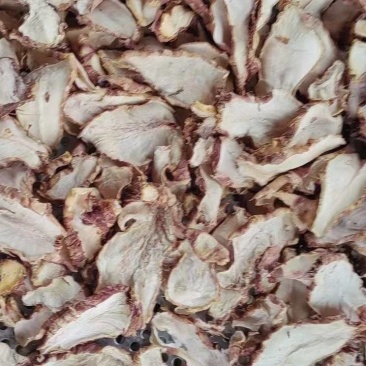洋姜干片一手货源保质保量供货对接全国
