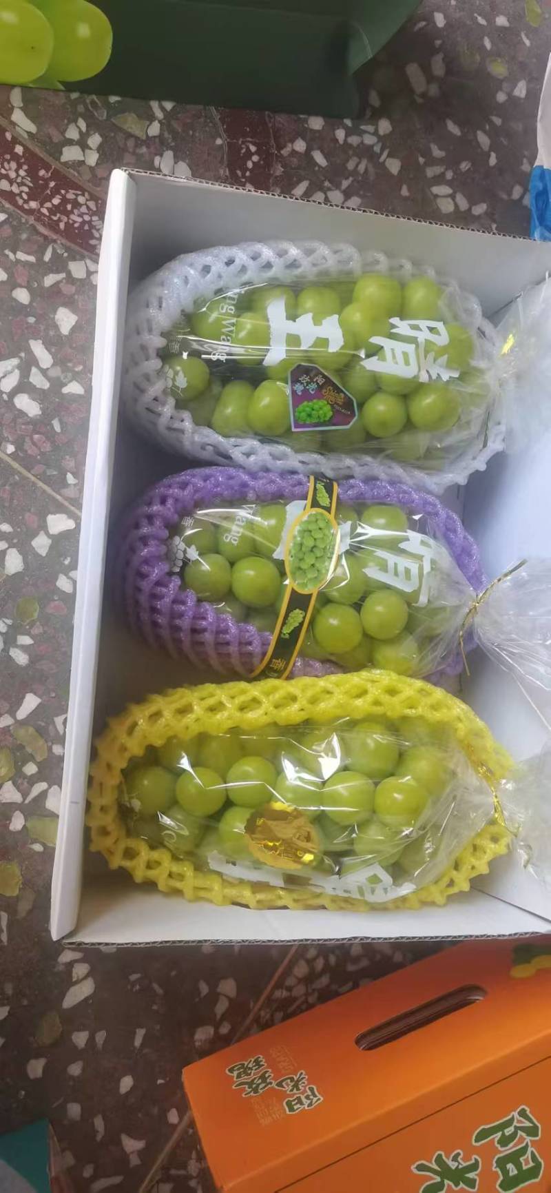阳光玫瑰大量供应一手货源，量大从优，质量保证可视频看货