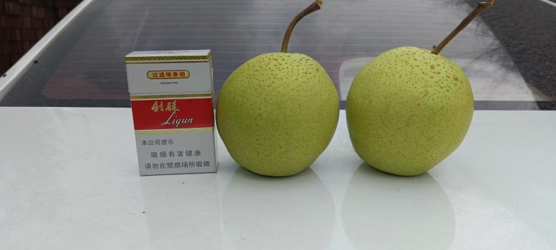 【推荐】雪花梨/山西雪花梨/当季新鲜/口感清甜/量大从优