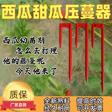 西瓜压蔓器西瓜叉子藤蔓瓜秧固定器秧苗固定器西瓜藤卡子瓜苗