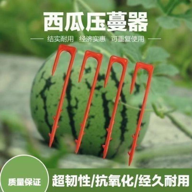 西瓜压蔓器西瓜叉子藤蔓瓜秧固定器秧苗固定器西瓜藤卡子瓜苗