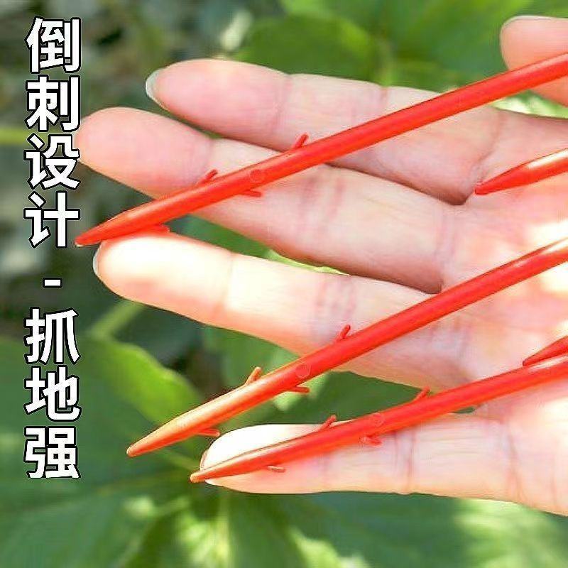 西瓜压蔓器西瓜叉子藤蔓瓜秧固定器秧苗固定器西瓜藤卡子瓜苗