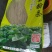 【推荐】纯手工红薯粉条常年供应商超市场发全国证件齐全