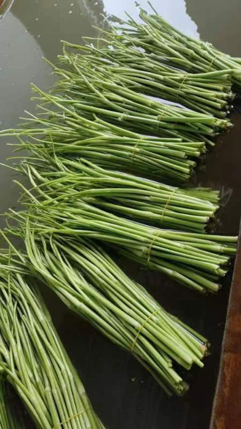 水芹菜，无节水芹，去叶，去根大量有货。