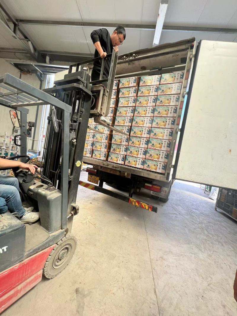 产地秋月梨大量上市品质保证诚信经营，欢迎进店咨询